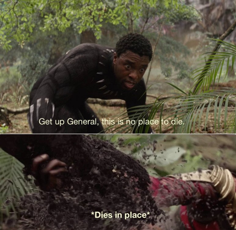 5ceda383625e5.jpeg