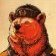 Medved