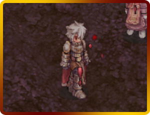 IM10.png