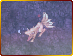 IM11.png