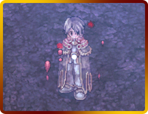 IM9.png