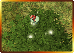 3.png