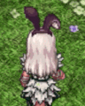 Costume Black Bunny Band3.jpg