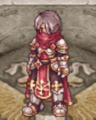 Costume Gang Scarf2.jpg