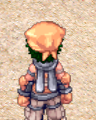 Costume Hat Of King 3.png