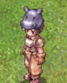 Costume Hippo Hat1.gif