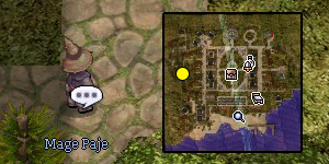 Guarana Quest Step 05.jpg