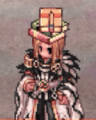 Costume Book of Soyga1.gif