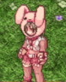 Costume Pretty Rabbit Hood1.gif