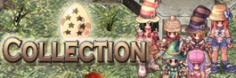 Collection Mini Banner.jpg