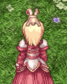 Costume Drooping Bunny3.jpg