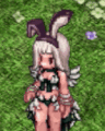 Costume Black Bunny Band2.jpg