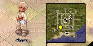 Guarana Quest Step 02.jpg