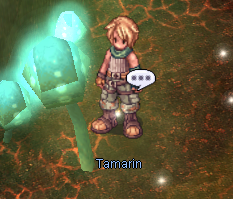 Tamarin Flame Basin.png