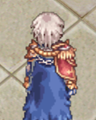 Costume Honorable Knight Cloak 3.png
