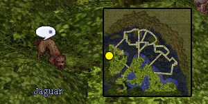 Guarana Quest Step 06b.jpg