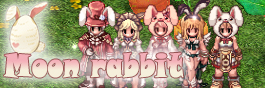 Moon Rabbit Mini Banner.jpg