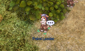 Patrol Leader.png