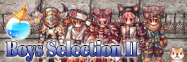Boys Selection II Mini Banner.jpg