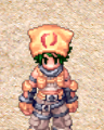Costume Hat Of King 1.png