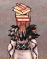 Costume Book of Soyga3.jpg