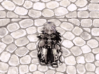 Sorcerer Job Skill Electric Walk.gif