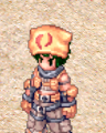 Costume Hat Of King 2.png