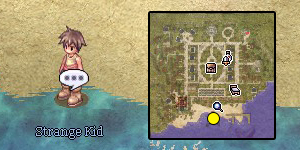 Guarana Quest Step 03.jpg