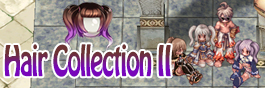 Hair Collection II Mini Banner.jpg