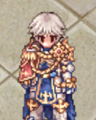 Costume Honorable Knight Cloak 1.png