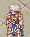 Costume Honorable Knight Cloak 2.png