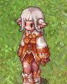 Costume Wonderful Beast Ears2.jpg