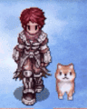 Costume Shiba Inu1.gif