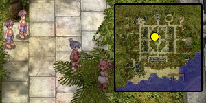 Brasilis Dungeon Entrance Quest Step 01.jpg