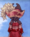 Costume Queen Anne's Revenge3.jpg