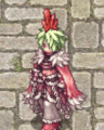 Costume Chicken Crest2.jpg