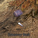 Rebirth Walkthrough Quest Step 04.jpg
